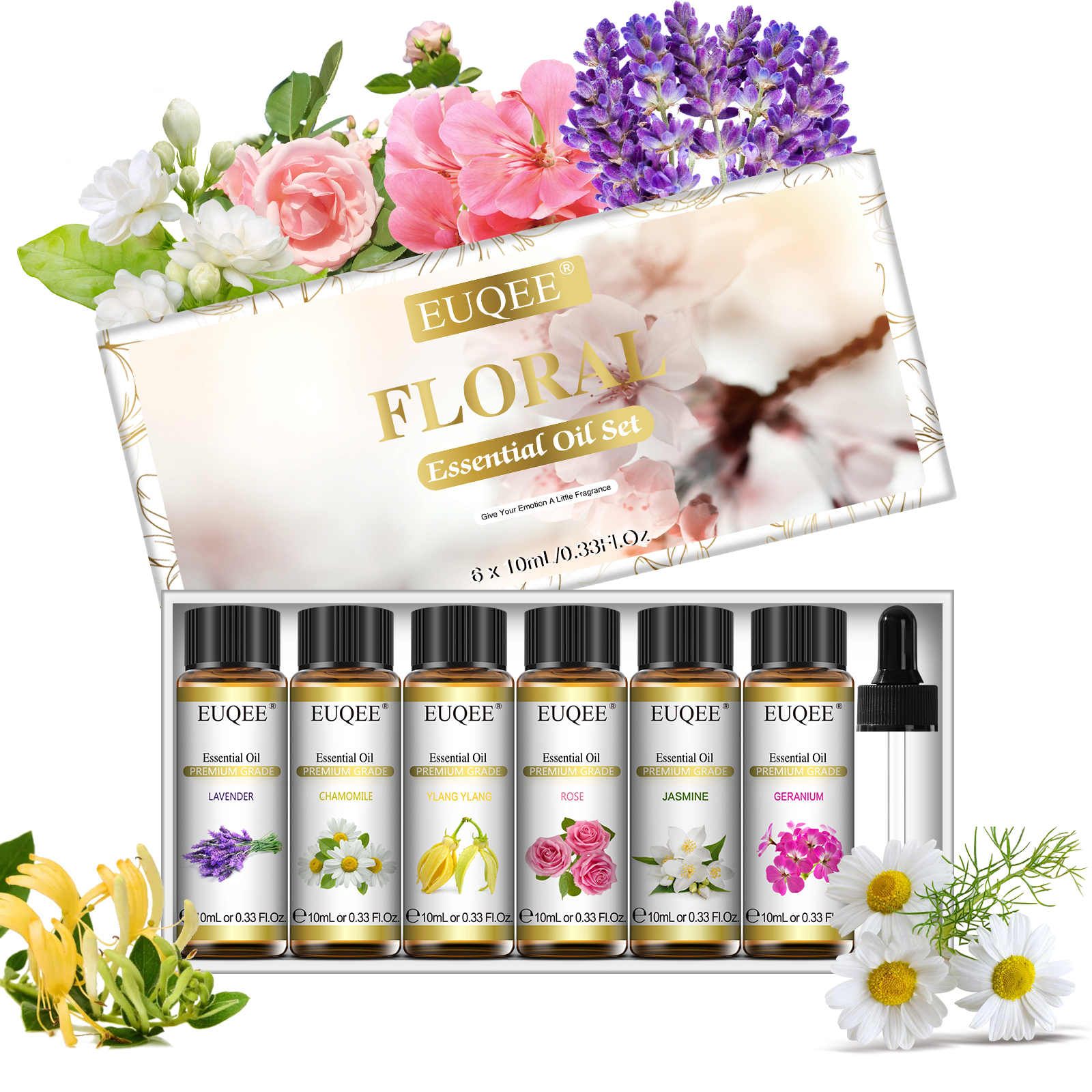 EUQEE 10ml*6pcs Essential Oil  - Candle Making Fragrances review and price